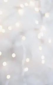 D.