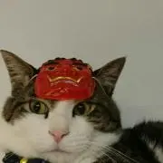 Sukecha