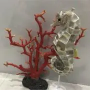 サンゴ