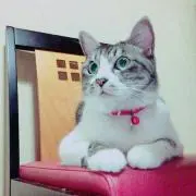 福ちゃん