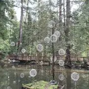 ゼフの画像