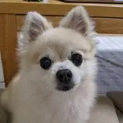 junyの画像