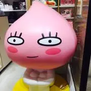 Zの画像