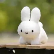 やんの画像