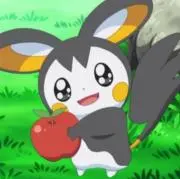 ひーちゃみの画像