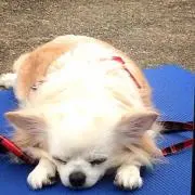 オジ