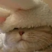 naの画像