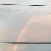 りんご♡の画像