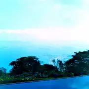 どらの画像