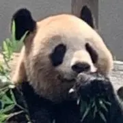なあこの画像