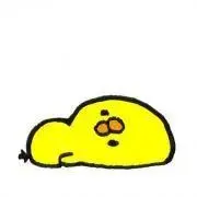 ゆきんこの画像