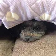 MaRiN☆コメント必須