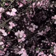 るの画像