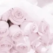 瀬奈の画像