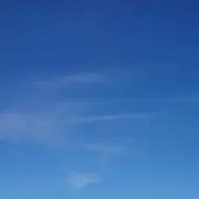 あの画像
