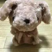 パティの画像