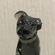 もっちゅんの画像