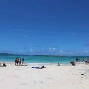 psaの画像