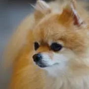 鴨下十和の画像