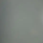 ペロの画像