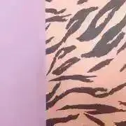 Ninaの画像