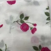 はこひ