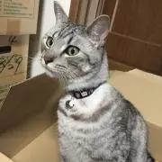 民ちゃんのハンドメイドハウスの画像