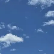 ワの画像
