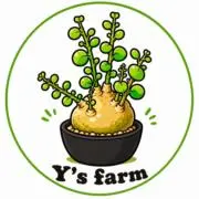 【毎週月曜日発送】Y’s farmの画像