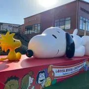 島ちゃんの画像