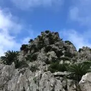 アルファー