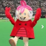クロネコの画像