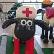 から