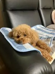 田中の画像