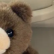 あんなの画像