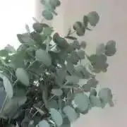 ユー*