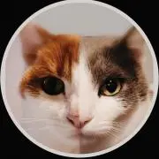 PEKOの画像