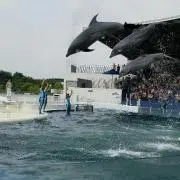 ちーやん