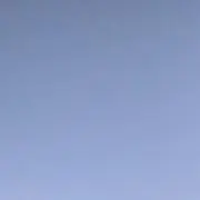 LOの画像