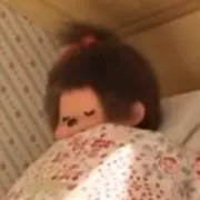 たんの画像