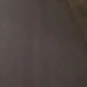 tjgapの画像