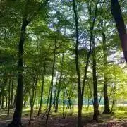 ＊なお＊の画像