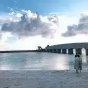 プーの画像