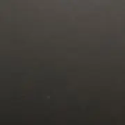 ショウ