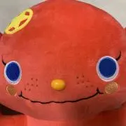 はづきの画像