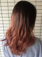 どんこの画像