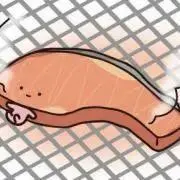しゃけの画像