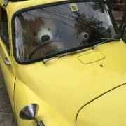 teの画像
