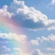 ルーキーの画像