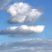 みかん